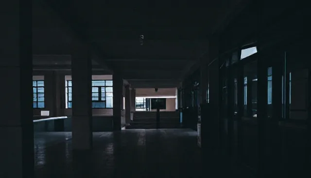 物业管理中的消杀服务：如何选择与维护